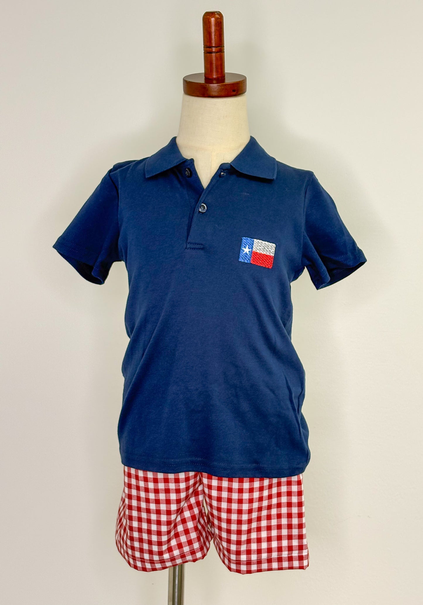 Texas State Flag Shirt