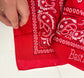 Bastian Red Bandana - Imperfect