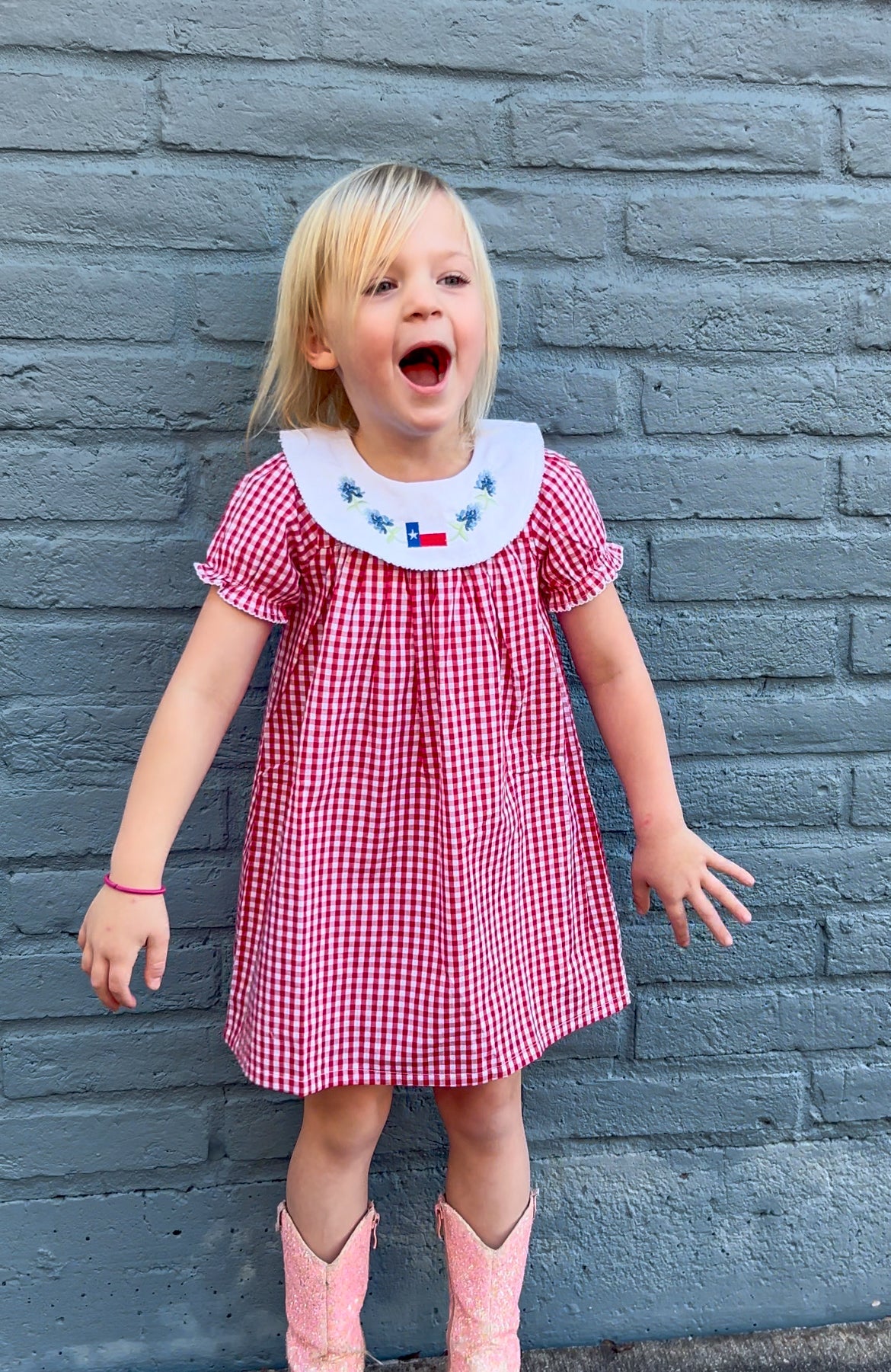 Texas Flag and Bluebonnet Dress